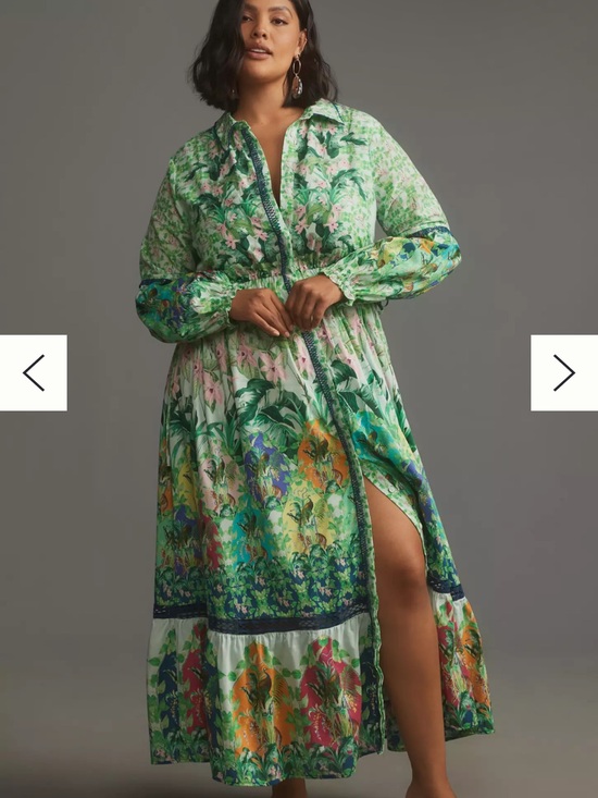 Anthropologie Dresses & Skirts - Anthropologie Eleanora Long Sleeve Maxi Dress Print